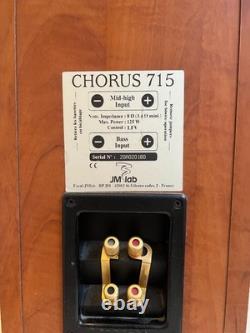 2x Vintage Floor Standing J. M Lab Chorus 715 Speakers