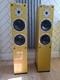 AUDIOVECTOR Mi3 FLOOR STANDING SPEAKERS