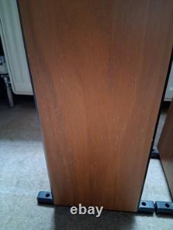 A Pair of Rega EL8 Compact Floor-Standing Speakers Sound Equipment