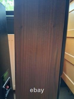 A Pair of Rega EL8 Compact Floor-Standing Speakers Sound Equipment