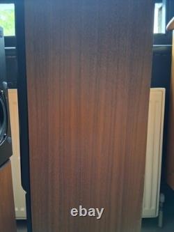 A Pair of Rega EL8 Compact Floor-Standing Speakers Sound Equipment