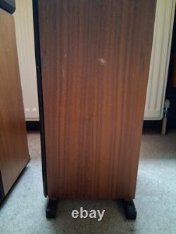 A Pair of Rega EL8 Compact Floor-Standing Speakers Sound Equipment