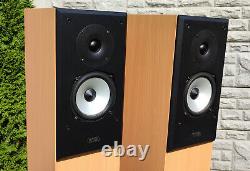 Acoustic Energy AE AEGIS Two Floor Standing Speakers Very Good Condition sale #2