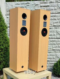 Acoustic Energy AE AEGIS Two Floor Standing Speakers Very Good Condition sale #2