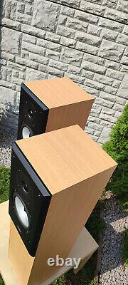 Acoustic Energy AE AEGIS Two Floor Standing Speakers Very Good Condition sale #2