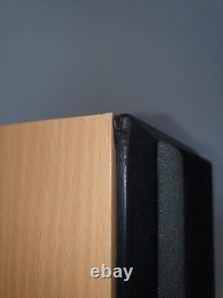 Acoustic Energy AE Aegis Two Floor Standing Speakers 120W In Good Condition