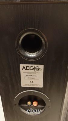 Acoustic Energy Aegis Two Floor Standing Speakers In Black