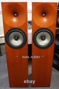 Amphion Neon floorstanding speakers. Rare, positive reviews! $5,500 MSRP