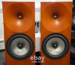 Amphion Neon floorstanding speakers. Rare, positive reviews! $5,500 MSRP