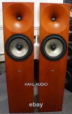 Amphion Neon floorstanding speakers. Rare, positive reviews! $5,500 MSRP