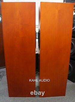 Amphion Neon floorstanding speakers. Rare, positive reviews! $5,500 MSRP