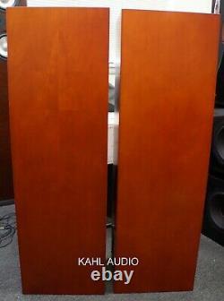 Amphion Neon floorstanding speakers. Rare, positive reviews! $5,500 MSRP