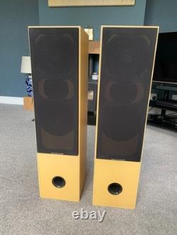 Aural Envelope EX300 Floor Standing Speakers