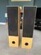 Aural Envelope EX300 Floor Standing Speakers