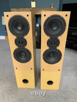 Aural Envelope EX300 Floor Standing Speakers