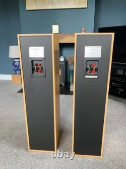 Aural Envelope EX300 Floor Standing Speakers