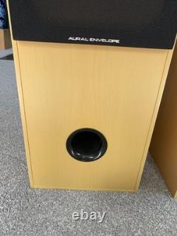 Aural Envelope EX300 Floor Standing Speakers