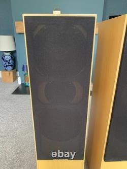 Aural Envelope EX300 Floor Standing Speakers