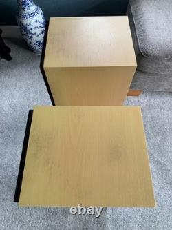 Aural Envelope EX300 Floor Standing Speakers