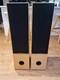 Aural Envelope EX300 Floor Standing Speakers Pair, 100W Impendance, 4-8 Ohms