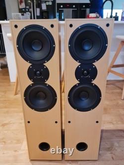 Aural Envelope EX300 Floor Standing Speakers Pair, 100W Impendance, 4-8 Ohms
