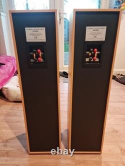 Aural Envelope EX300 Floor Standing Speakers Pair, 100W Impendance, 4-8 Ohms