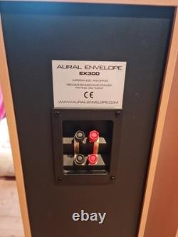 Aural Envelope EX300 Floor Standing Speakers Pair, 100W Impendance, 4-8 Ohms