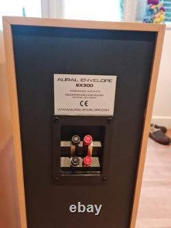 Aural Envelope EX300 Floor Standing Speakers Pair, 100W Impendance, 4-8 Ohms