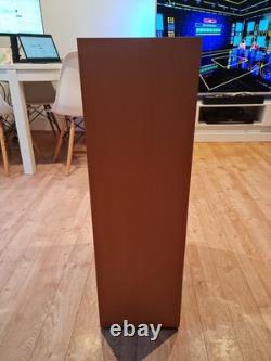 Aural Envelope EX300 Floor Standing Speakers Pair, 100W Impendance, 4-8 Ohms