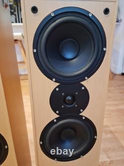 Aural Envelope EX300 Floor Standing Speakers Pair, 100W Impendance, 4-8 Ohms