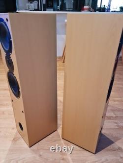 Aural Envelope EX300 Floor Standing Speakers Pair, 100W Impendance, 4-8 Ohms