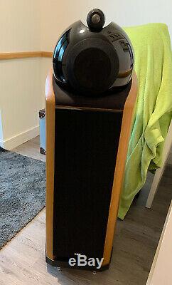 B&W (Bowers & Wilkins) 802 Nautilus Floor Standing Speakers