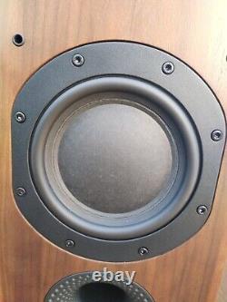 B&w 704 Floor Standing Speaker (bowers & Wilkins) Single