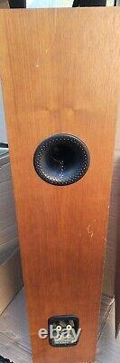 B&w 704 Floor Standing Speaker (bowers & Wilkins) Single