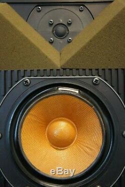 B&w Bowers And Wilkins Dm6 (pregnant Penguins) Floorstanding Speakers+manual