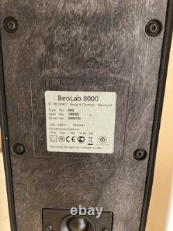 Bang & Olufsen Beolab 8000 Active Speakers Fully Working