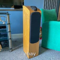 Bowens And Wilkins, B&w704 Floor Standing Speakers (2)