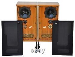 Bowers & Wilkins B&W DM2 / DM2a Speakers in Beautiful condition, fully working