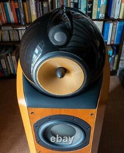 Bowers and Wilkins B&W 802D Floor Standing Speakers