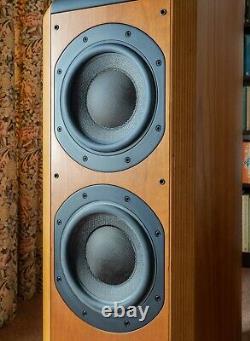 Bowers and Wilkins B&W 802D Floor Standing Speakers