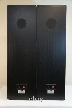 Canton Ct100 Floorstanding Speakers