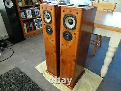 Castle Harlech Floor Standing Speakers Fully Working & Sublime Sound Norwich
