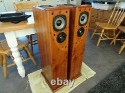 Castle Harlech Floor Standing Speakers Fully Working & Sublime Sound Norwich