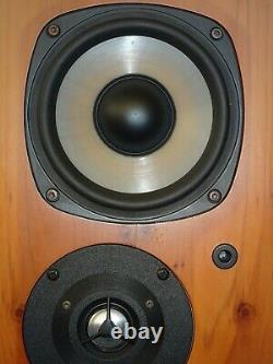 Castle Harlech Floor Standing Speakers Fully Working & Sublime Sound Norwich