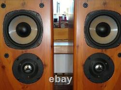 Castle Harlech Floor Standing Speakers Fully Working & Sublime Sound Norwich