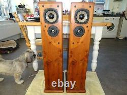 Castle Harlech Floor Standing Speakers Fully Working & Sublime Sound Norwich