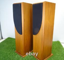 Castle Severn 2 floor speakers, bi-wire (Working -Read Description)