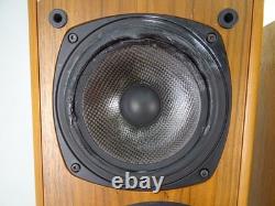 Castle Severn 2 floor speakers, bi-wire (Working -Read Description)