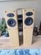 Celestron 100w Floor Standing Speakers