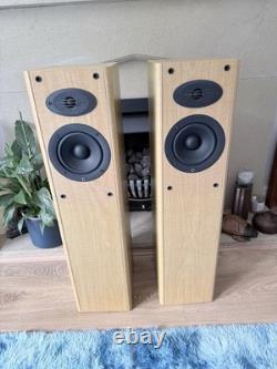 Celestron 100w Floor Standing Speakers